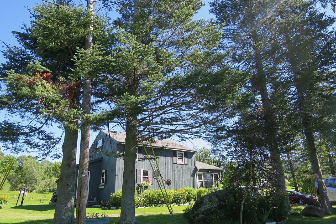 Firefly Bed & Breakfast Lincoln Luaran gambar
