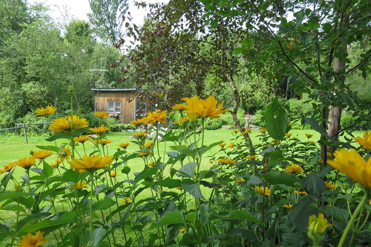 Firefly Bed & Breakfast Lincoln Luaran gambar