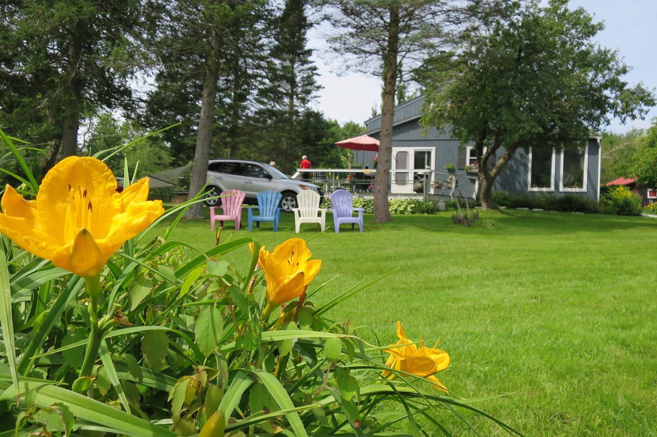 Firefly Bed & Breakfast Lincoln Luaran gambar