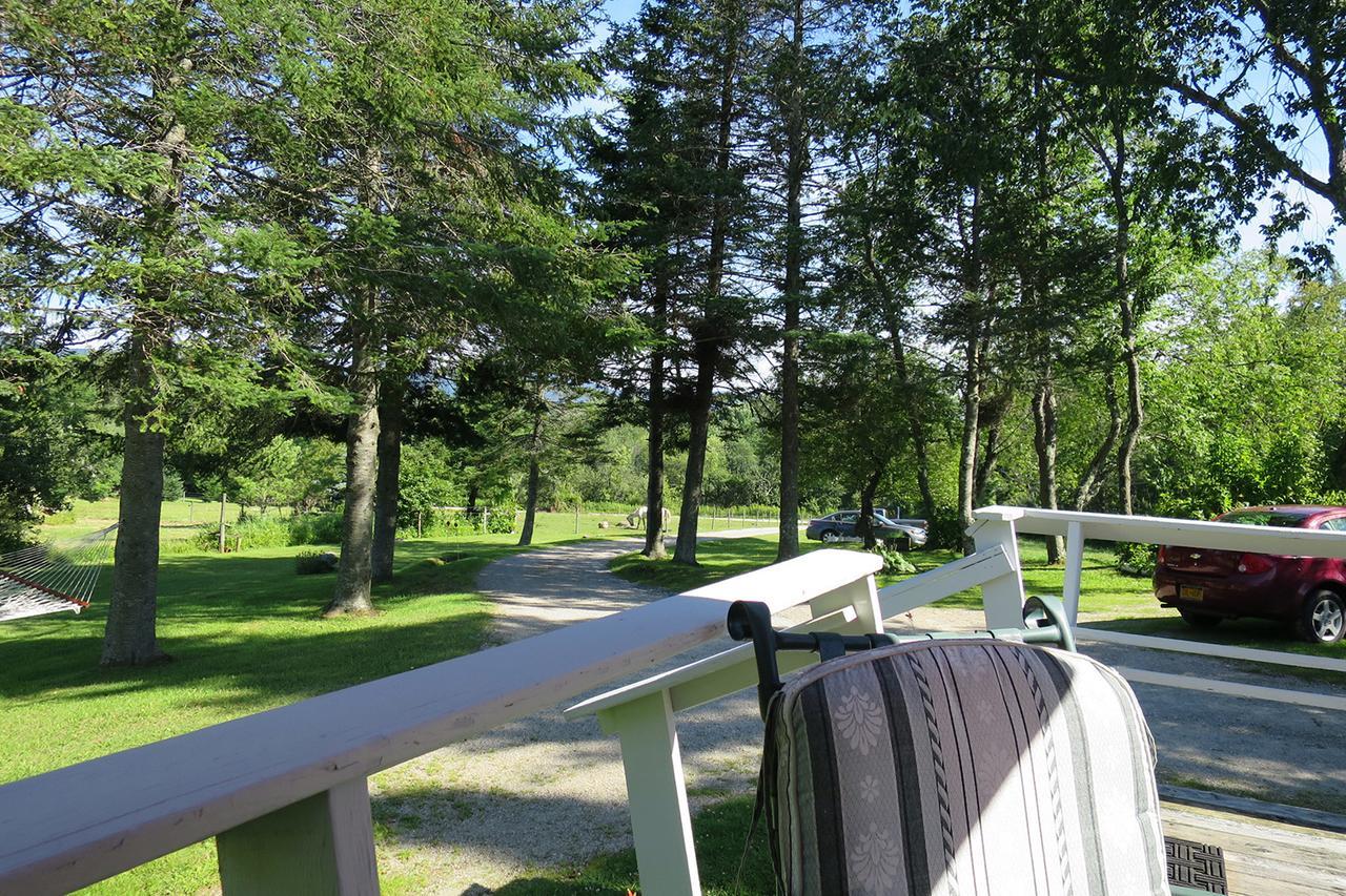 Firefly Bed & Breakfast Lincoln Luaran gambar
